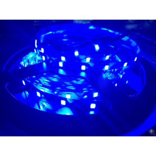 12V/24V SMD 2835 LED Strip Lights for Holiday Decorations